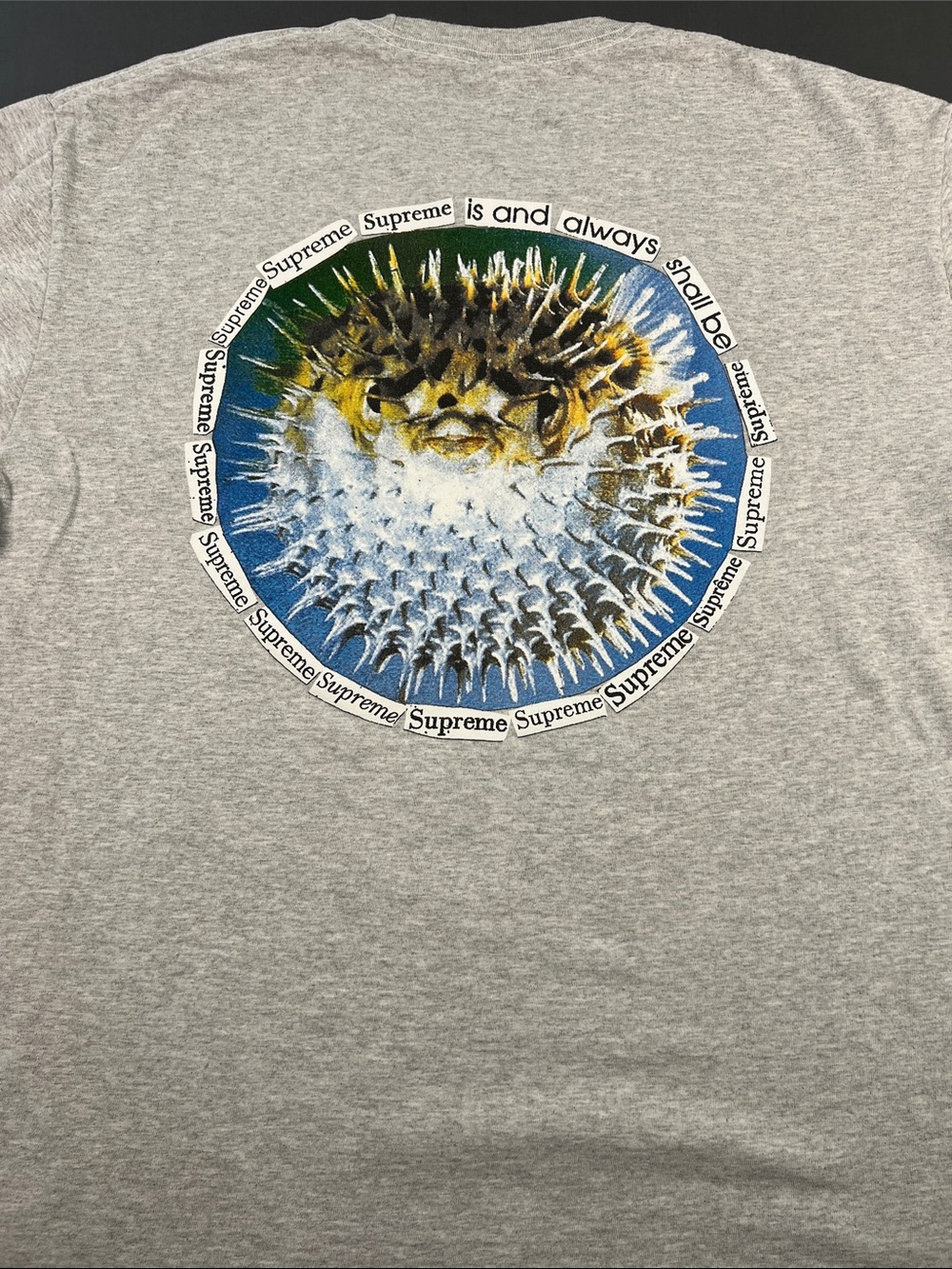 Supreme Gray Small Chest Logo Short Sleeve Tee - Picture 7 of 10